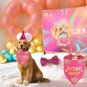 Ensemble d'accessoires de fête d'anniversaire pour animaux de compagnie : Foulard triangulaire et chapeau en tissu non tissé de luxe, personnalisables pour chien, pour une célébration festive. - Product Image 1