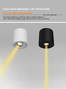 ไฟสปอร์ตไลท์ LED ติดผนังในร่ม, ไฟ LED ติดเพดาน 3-10W AC220V(10%) ไฟเพดาน COB ป้องกันแสงสะท้อนที่ทันสมัยสำหรับห้องนั่งเล่น โฮมออฟฟิศ - Product Image 3