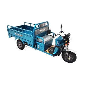 Cheap Price Fat Tyre Three Wheel Electric Tricycle TRIKE manufacturer in china