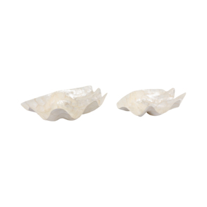 Ciotola decorativa a forma di conchiglia per decorazioni da tavolo e bancone, centrotavola - Product Image 2