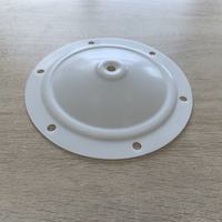 Compatible avec le diaphragme en PTFE de 1/2 pouce Blagdon G15-033 pour la pompe à double diaphragme pneumatique B15 X15 pour les services incendie YYH