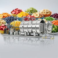 Industriële vacuümvriesdroger FDG-100 voor de verwerking van fastfood, sap, fruit, groenten, melk en koffie