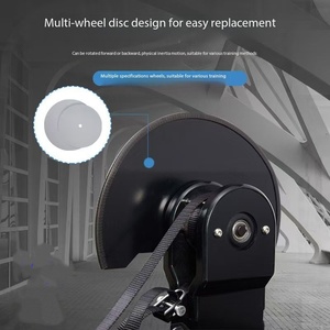Hete Aanbieding IJzeren Centrifuge Trainer Vliegwiel Wandmontage Machine Variabele Weerstand Excentrische Vliegwiel Apparatuur 130kg Unisex - Product Image 4