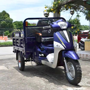 Triciclo de gasolina de 3 ruedas para carga, motocicleta de <span class=keywords><strong>125cc</strong></span> - Product Image 4