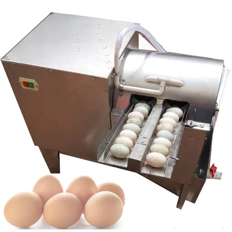 Nettoyeur automatique d'oeufs facile à utiliser Type de brosse Machine commerciale de nettoyage d'oeufs d'oie de ferme