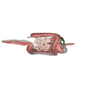 Maquette 3D couleur réaliste, service d'impression 3D en résine PolyJet, impression 3D couleur - Product Image 1