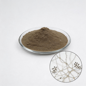 Solution de contrôle biologique des maladies de reprise de croissance et des nématodes à nœuds raciaux pour une culture continue et un système racinaire robuste - Product Image 1