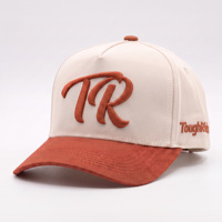 Casquette de baseball personnalisée de haute qualité, couleur crème terre cuite, visière incurvée avec broderie 3D TR, vente en gros OEM ODM