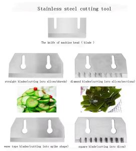 Machine à éplucher les pommes de terre, le taro, le gingembre, les carottes et le manioc, machine à laver les légumes automatique électrique en acier inoxydable - Product Image 4