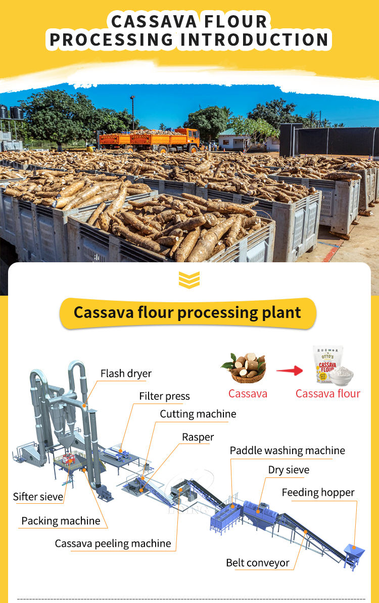 Cassava 10KG 送料込み 楽天市場】cassava flourの通販
