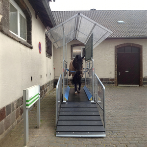 Caminadora Equina para Caballos, Máquina de Ejercicio para Rehabilitación Veterinaria y Equipo de Entrenamiento para Caballos en Establos - Product Image 6