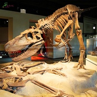 Répliques de squelettes de dinosaures en fibre de verre grandeur nature, fabriquées à la main, pour musée