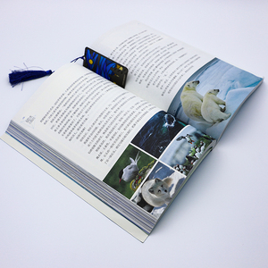 Marcapáginas de Metal de Acero Inoxidable SS con Diseño de Luna y Cielo Translúcido, para Amantes de la Lectura, con Borla de Cordón - Product Image 4