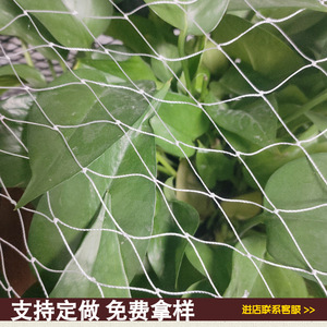 Magnificent Nylon <b>Bird</b> <b>Netting</b> 2x2 To 5x5 Aperture White Hailproof Antiaging For Vineyards Fishponds Frogs Loaches - Product Image 4