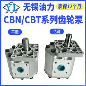 Bomba de Aceite Hidráulica CBNCBT-FEG520525532540550F63 de Alta Eficiencia y Alta Presión con Engranajes de Ranura y Chaveta - Product Image 4