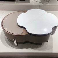 Table basse rotative en forme de pétale, style moderne minimaliste, luxe léger, haut de gamme, nouvelle collection, pour salon.