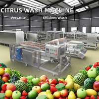 Kleine Citrus Oranje Fruit Groente Auto-Waslijn Bubble Wasmachine Voor Plantaardige Verwerkingsfabriek Motormotor Kern