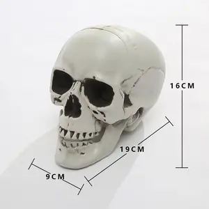 Halloween Bucky Skeleton Haunted House Party Prop Scary Skulls For Decor