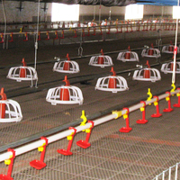 Équipement d'élevage : Mangeoires et abreuvoirs automatiques pour poulets, abreuvoirs à tétine, système de ligne d'alimentation pour poulailler/élevage avicole avec coupelle