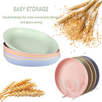 Ensemble de dîner 4 pièces biodégradable écologique chaud assiettes et plats en paille de blé pigmentée minimaliste ensemble de vaisselle biodégradable
