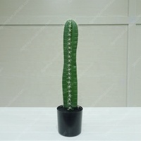 Commercio all'ingrosso di piante artificiali di plastica materiale faux cactus per interior decor