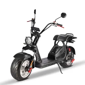 1500w 2000w 2 Rad neuer Stil Dual Suspension siong CP5 X16 City Coco Elektro fahrrad