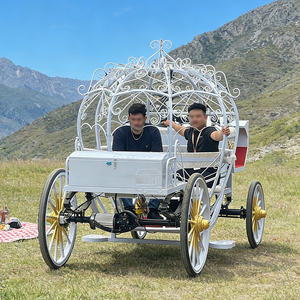 Asientos para Vehículo Eléctrico 2025, Regalo, Personalizados, para 2 Personas, Estilo Carruaje Real Europeo - Product Image 4