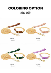 Colliers <span class=keywords><strong>pour</strong></span> chiens en acier inoxydable, anti-explosion, doubles chaînes solides et en cuir, tailles S-2XL <span class=keywords><strong>pour</strong></span> toutes les tailles de chiens - Product Image 6