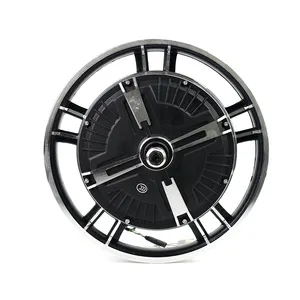 16 Inch Borstelloze Bldc 48V 350W Hub Motor Voor E-Scooter Ebike