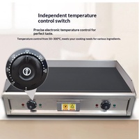 Plaque de cuisson électrique professionnelle, gril polyvalent pour stand de rue, idéal pour le riz frit, les nouilles froides et les crêpes aux œufs