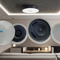 Sistema de Cine en Casa de Alta Calidad con 5.1/7.1 Canales, Control Remoto WIFI, Amplificador de Potencia Integrado, Instalación Oculta en el Techo