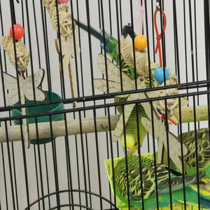 Venta caliente de 2 piezas de ratán cruzado tejido pájaro juguete loro morder libélula de madera y flor floreciente Color al azar - Product Image 4