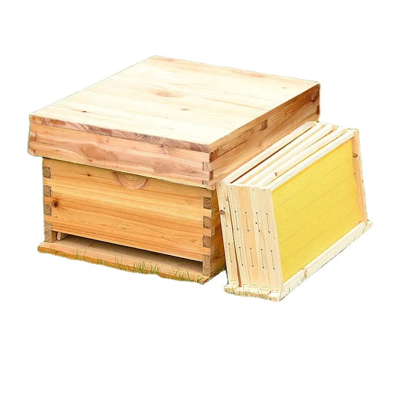 Sapin Wooden10 abeille boîte langstroth ruches abeilles ruches paquet revêtement cire sapin ruche