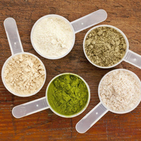 Vente en gros de substitut de repas biologique pour légumes sans gluten et sans produits laitiers poudre de protéines végétales riche en vitamines et minéraux