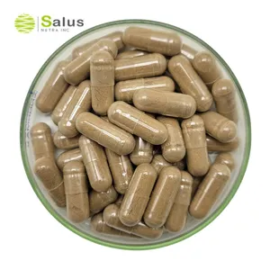 Cápsulas de Extrato de Gotu Kola Equivalente a 3200 mg com Reishi, Cordyceps, Gingko Biloba e raiz de Valeriana Suporta o cérebro