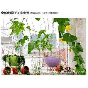 Hanging <b>Basket</b> <b>Plastic</b> Pot Customized Shape Multi Cavity Mold For Garden Use - Product Image 5