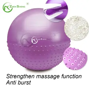 Zhensheng Custom Color Yoga Ball Fitness 55cm 65cm 75cm Sport Pilates Birthing Ball Training Workout Massage Gym Exercise Ball