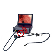 Équipement d'endoscopie vidéo gastrique et vétérinaire, coloscopie