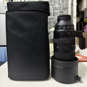 Sigma 150-600mm Lens: Best for Wildlife Sports Photography?