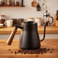 Carafe à café en acier inoxydable grande capacité avec bec long, théière à café à versement progressif avec thermomètre et poignée en bois