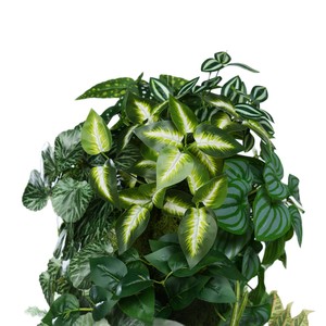 Décoration murale végétale artificielle Greenway, 100 cm, plantes en soie pour hôtels et restaurants - Product Image 5