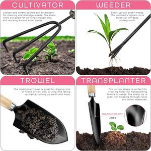 Cross-border Hot Selling Garden <b>Tool</b> Set Wooden Handle <b>Tools</b> Pruning Shears Stainless Steel Gardening Hh-42 Wooden Handle Provid - Product Image 5