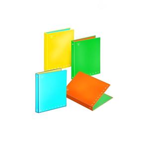 PIGNA - Classeur à anneaux A4 monochrome fluorescent assorti - Product Image 1