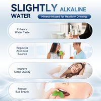 Penyaring air wastafel Alkaline, pemurni air Manual 28000 galon 1100 tingkat aliran GPD, sistem pemurni air rumah tangga