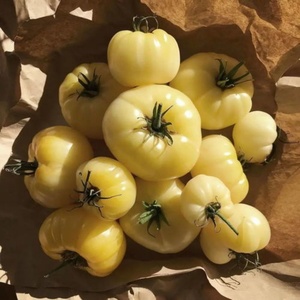 OEM Hot Selling White <b>Tomato</b> Extract Tablet Crystal Capsules Whitening Supplements for Adults Not for Pregnant Women - Product Image 3