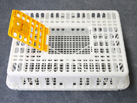 Caisses à poulets orange portables neuves et bon marché pour le transport <span class=keywords><strong>de</strong></span> volailles <span class=keywords><strong>vivantes</strong></span>, utilisation en abattoir, capacité <span class=keywords><strong>de</strong></span> 10 à 15 poulets - Product Image 4