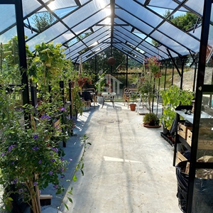 Serre <span class=keywords><strong>de</strong></span> <span class=keywords><strong>jardin</strong></span> en verre avec structure en aluminium blanc sur mesure G-MORE, pour la culture des fleurs, 8'x8' pieds, en vente - Product Image 3