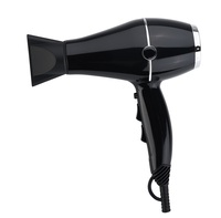 Sèche-cheveux ionique à moteur AC professionnel le plus populaire puissant sèche-cheveux de salon d'hôtel 2100W avec technologie céramique