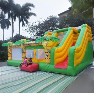 Castillo Inflable, Tobogán Inflable Seco, Brincolín Inflable, Toboganes Inflables Comerciales para <span class=keywords><strong>Alquiler</strong></span> en Casa - Product Image 5