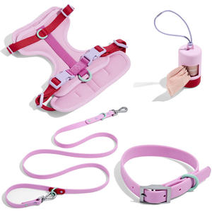 制造商无拉力带个性化定制徽标豪华设计师品牌环保时尚尼龙涤纶狗背心牵引带项圈背带 - Product Image 2